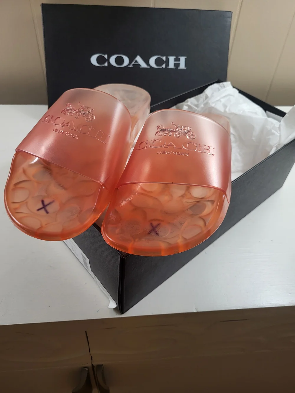 Coach transparent coral